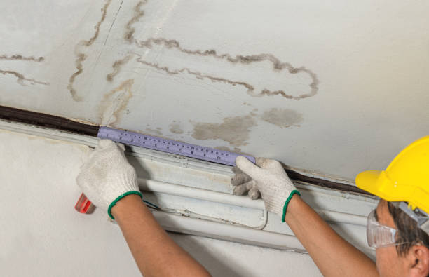Reliable Water Damage contractor in Kingston, NJ by Water Damage Irwin